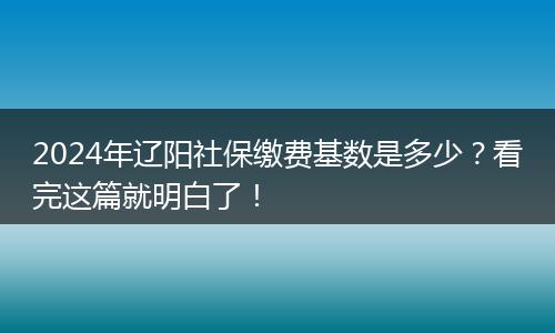 2024年辽阳社保缴费基数是多少？看完这篇就明白了！