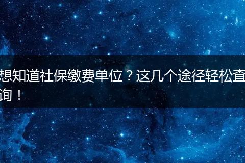 想知道社保缴费单位？这几个途径轻松查询！