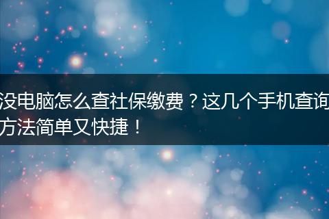 没电脑怎么查社保缴费？这几个手机查询方法简单又快捷！