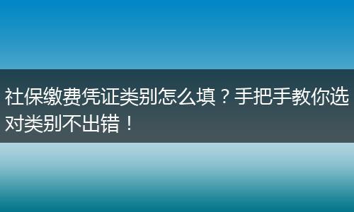 社保缴费凭证类别怎么填？手把手教你选对类别不出错！