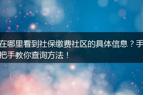 在哪里看到社保缴费社区的具体信息？手把手教你查询方法！