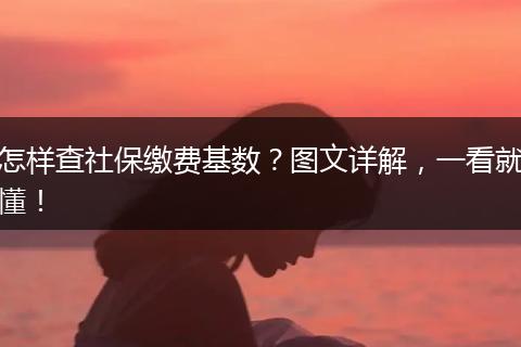 怎样查社保缴费基数？图文详解，一看就懂！