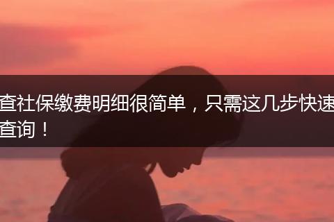 查社保缴费明细很简单，只需这几步快速查询！