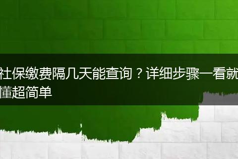 社保缴费隔几天能查询？详细步骤一看就懂超简单