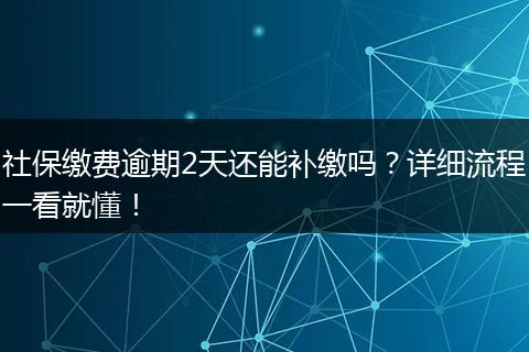 社保缴费逾期2天还能补缴吗?详细流程一看就懂!