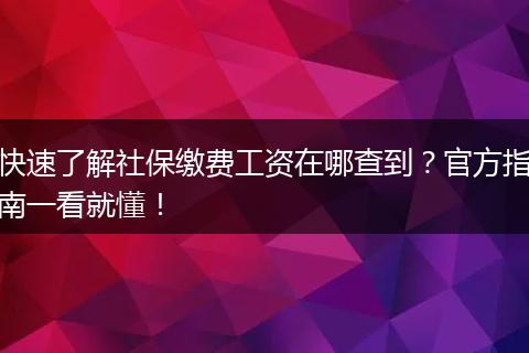 快速了解社保缴费工资在哪查到?官方指南一看就懂!