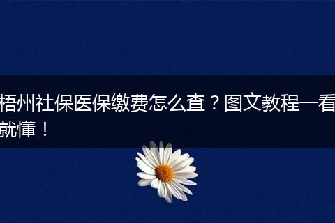 梧州社保医保缴费怎么查？图文教程一看就懂！