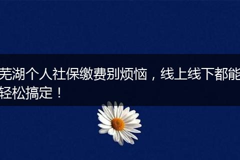 芜湖个人社保缴费别烦恼，线上线下都能轻松搞定！