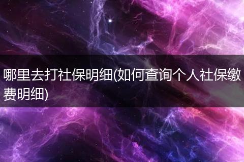 哪里去打社保明细(如何查询个人社保缴费明细)