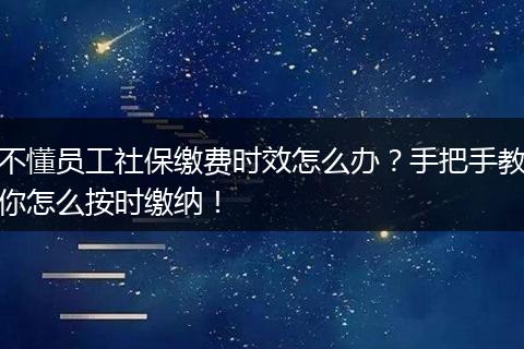 不懂员工社保缴费时效怎么办？手把手教你怎么按时缴纳！