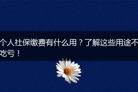 个人社保缴费有什么用？了解这些用途不吃亏！