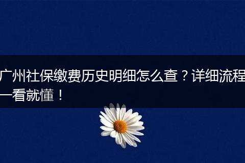 广州社保缴费历史明细怎么查？详细流程一看就懂！