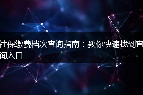 社保缴费档次查询指南：教你快速找到查询入口