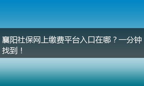 襄阳社保网上缴费平台入口在哪？一分钟找到！