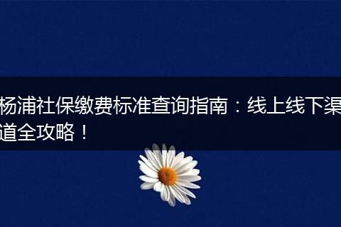 杨浦社保缴费标准查询指南：线上线下渠道全攻略！