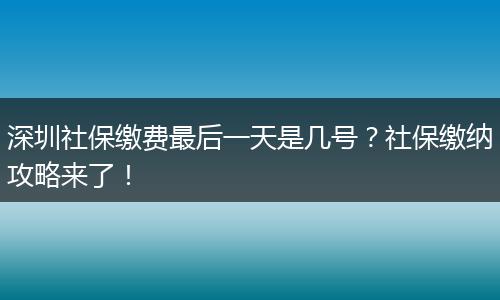 深圳社保缴费最后一天是几号？社保缴纳攻略来了！