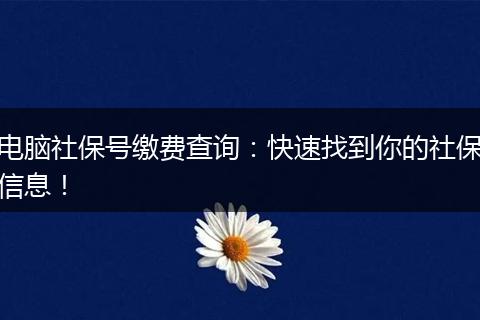 电脑社保号缴费查询：快速找到你的社保信息！
