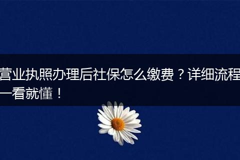 营业执照办理后社保怎么缴费？详细流程一看就懂！