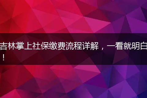 吉林掌上社保缴费流程详解，一看就明白！