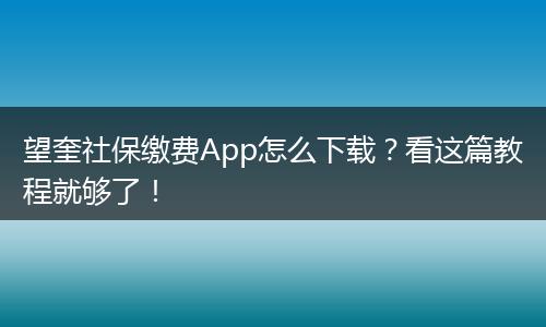 望奎社保缴费App怎么下载？看这篇教程就够了！