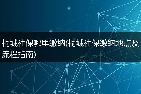 桐城社保哪里缴纳(桐城社保缴纳地点及流程指南)