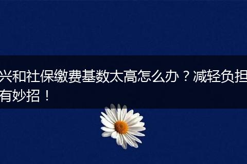 兴和社保缴费基数太高怎么办？减轻负担有妙招！