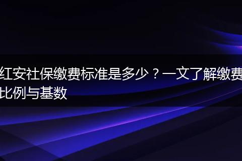 红安社保缴费标准是多少？一文了解缴费比例与基数