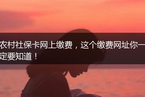 农村社保卡网上缴费，这个缴费网址你一定要知道！