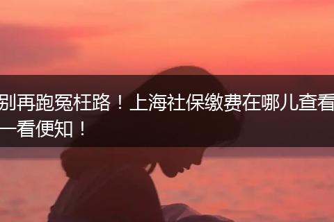 别再跑冤枉路！上海社保缴费在哪儿查看一看便知！