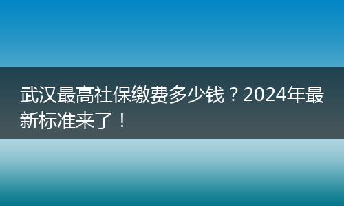 武汉最高社保缴费多少钱？2024年最新标准来了！