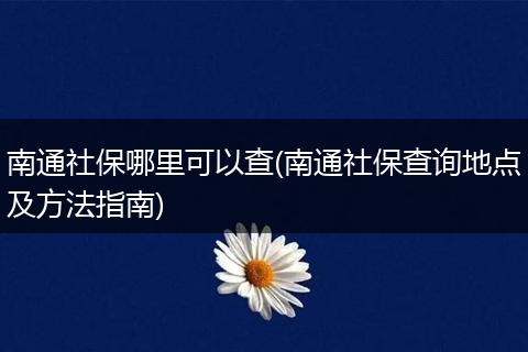 南通社保哪里可以查(南通社保查询地点及方法指南)