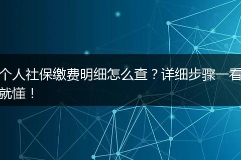 个人社保缴费明细怎么查？详细步骤一看就懂！