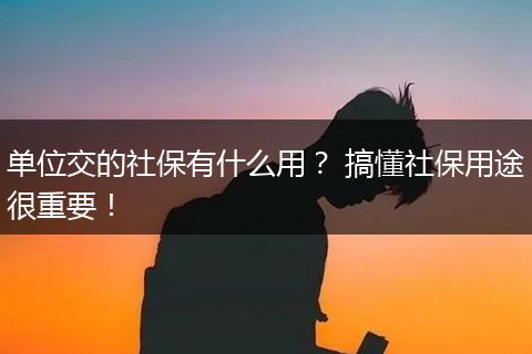 单位交的社保有什么用？ 搞懂社保用途很重要！