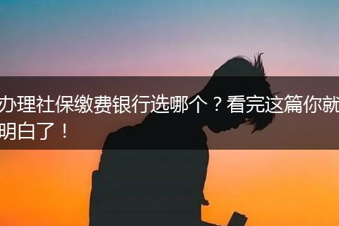 办理社保缴费银行选哪个？看完这篇你就明白了！