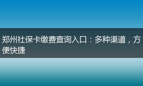 郑州社保卡缴费查询入口：多种渠道，方便快捷