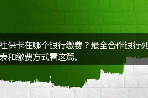 社保卡在哪个银行缴费？最全合作银行列表和缴费方式看这篇。
