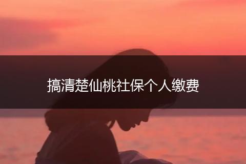 搞清楚仙桃社保个人缴费