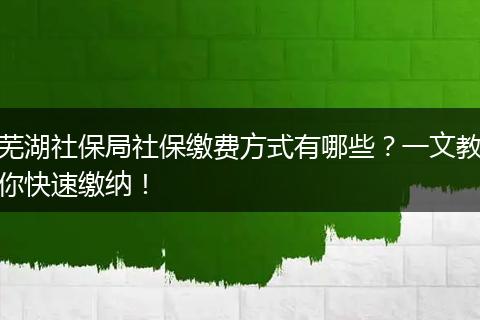 芜湖社保局社保缴费方式有哪些？一文教你快速缴纳！