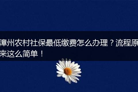 漳州农村社保最低缴费怎么办理？流程原来这么简单！
