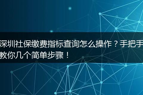 深圳社保缴费指标查询怎么操作？手把手教你几个简单步骤！