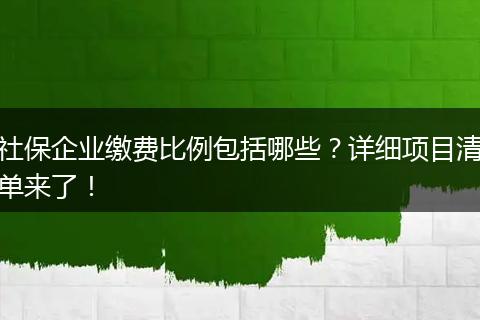 社保企业缴费比例包括哪些？详细项目清单来了！