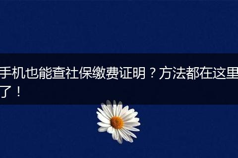 手机也能查社保缴费证明？方法都在这里了！