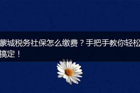 蒙城税务社保怎么缴费？手把手教你轻松搞定！