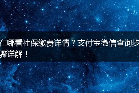 在哪看社保缴费详情？支付宝微信查询步骤详解！