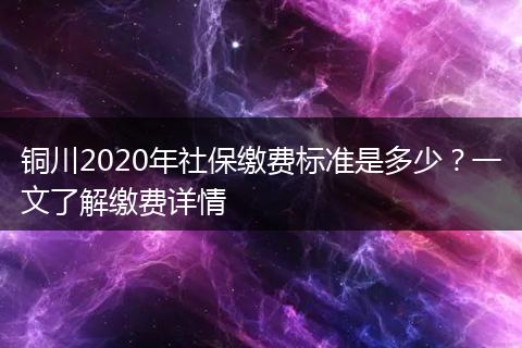 铜川2020年社保缴费标准是多少？一文了解缴费详情