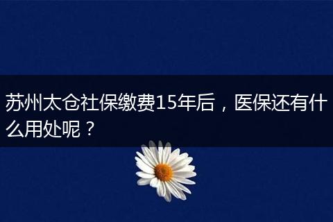 苏州太仓社保缴费15年后，医保还有什么用处呢？