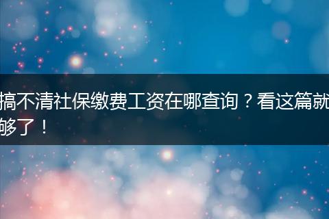 搞不清社保缴费工资在哪查询？看这篇就够了！