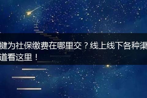 犍为社保缴费在哪里交？线上线下各种渠道看这里！
