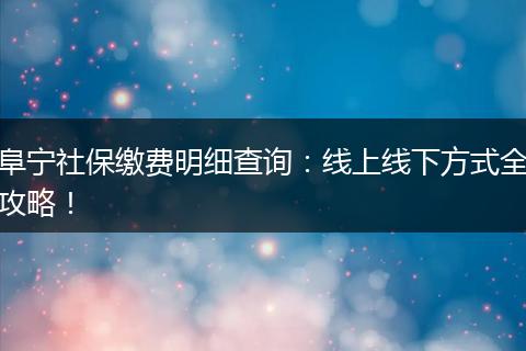 阜宁社保缴费明细查询:线上线下方式全攻略!