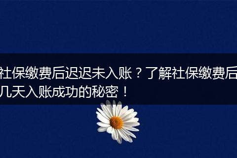 社保缴费后迟迟未入账？了解社保缴费后几天入账成功的秘密！
